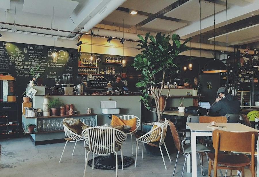 Café interior with hanging plants and wooden chairs